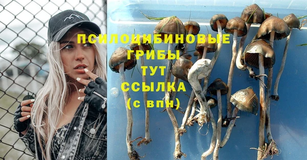 прущие крисы Верея