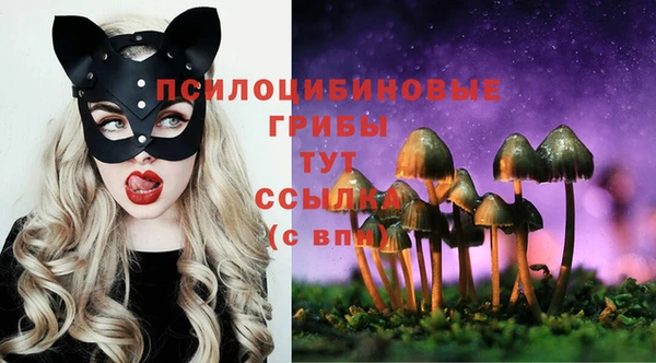 прущие крисы Верея