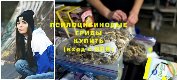 сатива Верхнеуральск