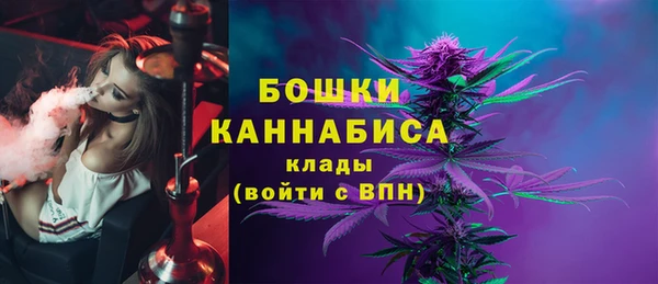 прущие крисы Верея