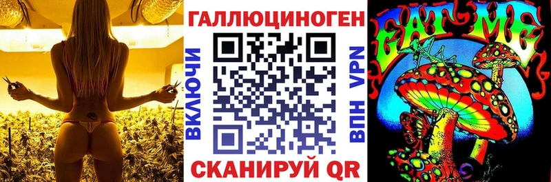 Галлюциногенные грибы MAGIC MUSHROOMS Томск